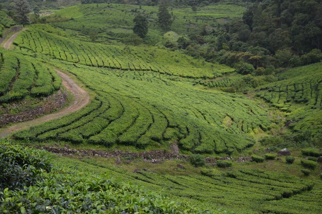 Ferndale Homestay Thekkady Luaran gambar