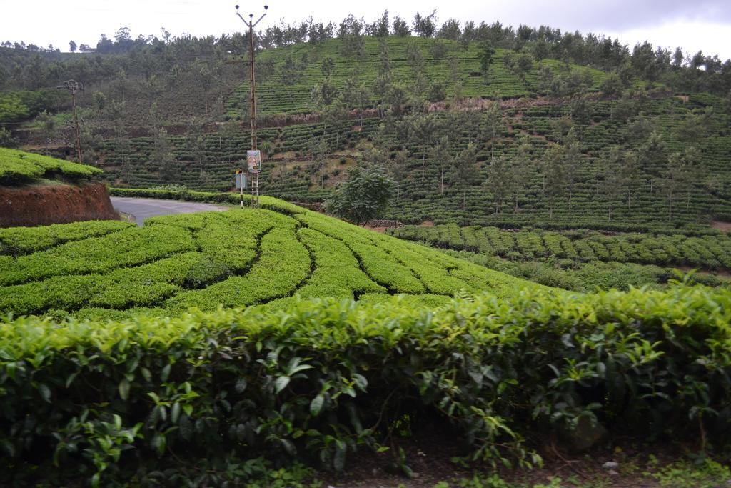 Ferndale Homestay Thekkady Luaran gambar