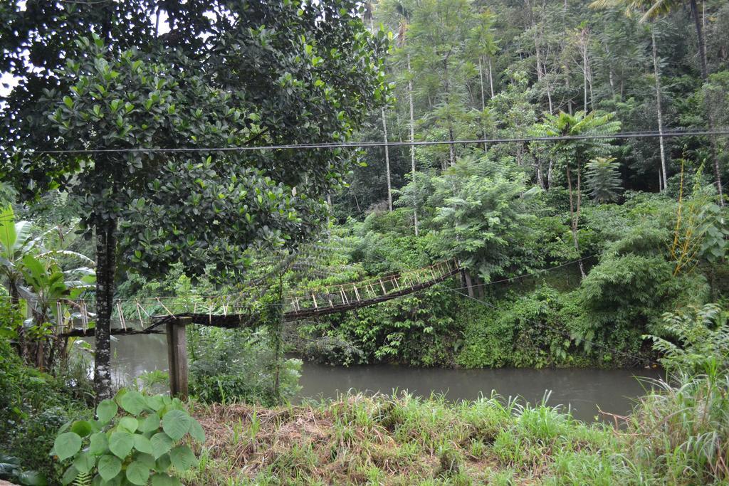 Ferndale Homestay Thekkady Luaran gambar