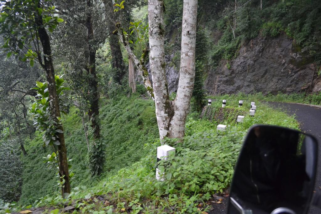 Ferndale Homestay Thekkady Luaran gambar