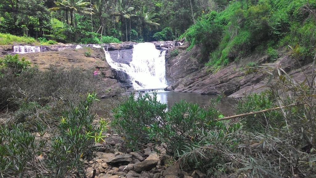 Ferndale Homestay Thekkady Luaran gambar