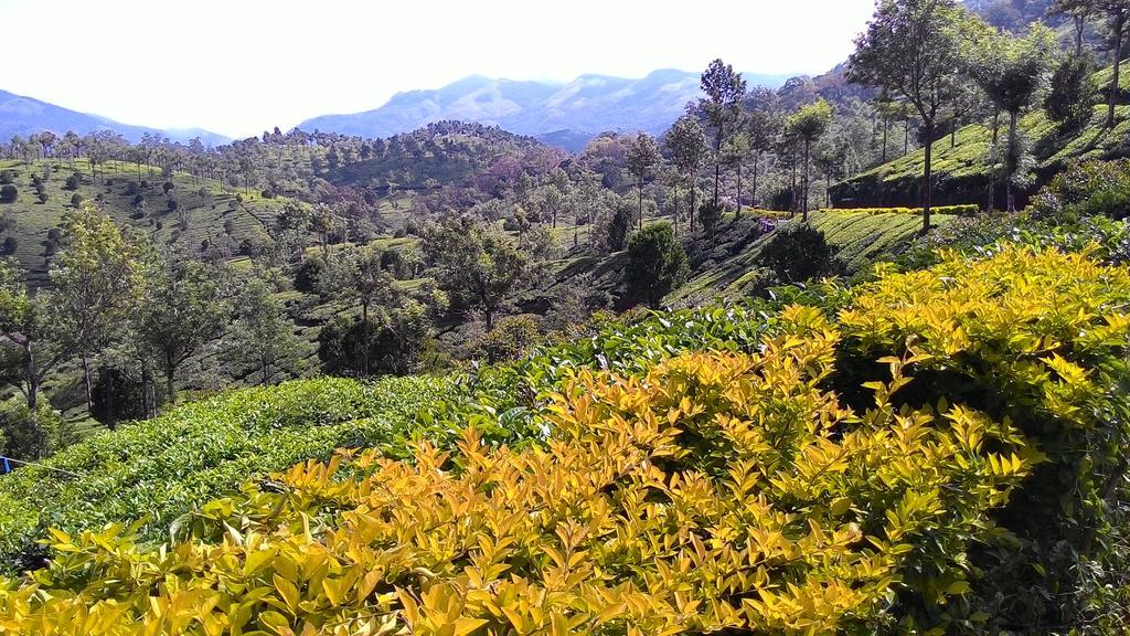 Ferndale Homestay Thekkady Luaran gambar